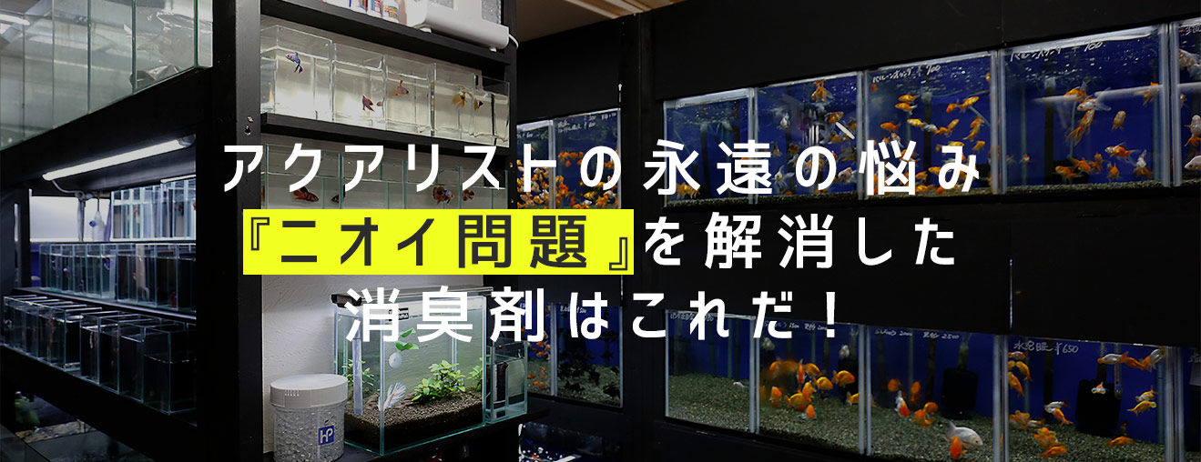 アクアリストの永遠の悩み『ニオイ問題』を解消した消臭剤はこれだ！