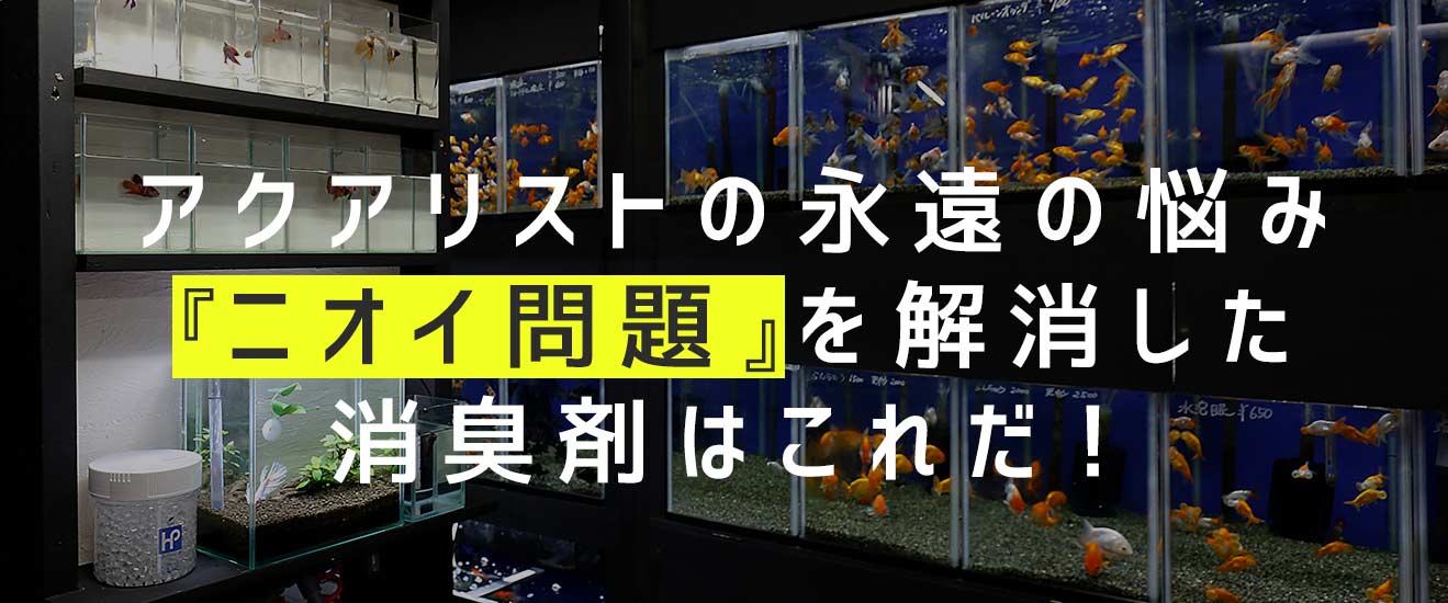 アクアリストの永遠の悩み『ニオイ問題』を解消した消臭剤はこれだ！