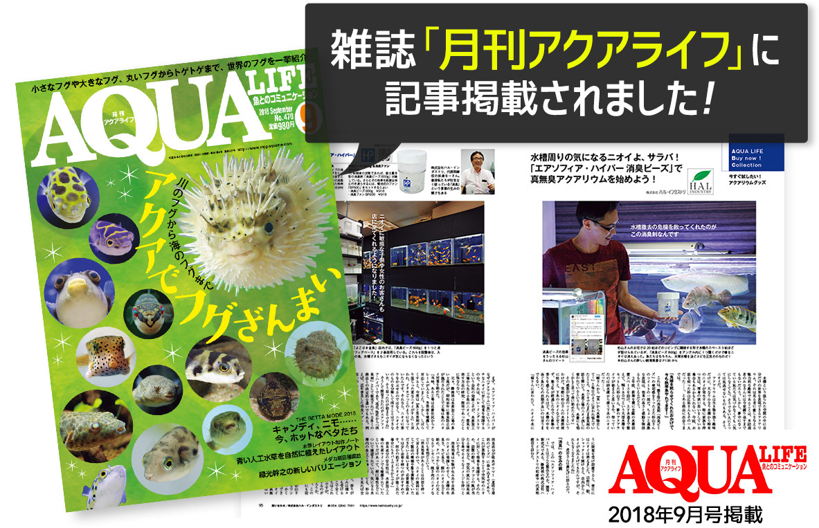 雑誌「AQUA LIFE」9月号掲載写真