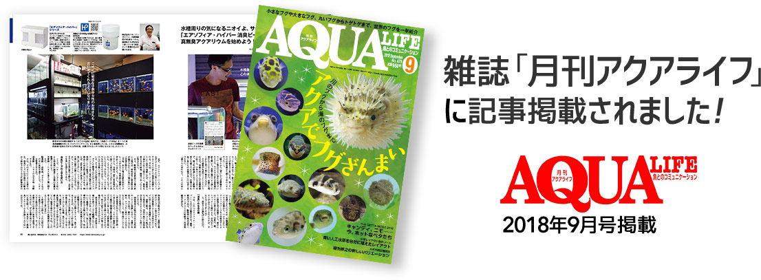 雑誌「AQUA LIFE」9月号掲載写真