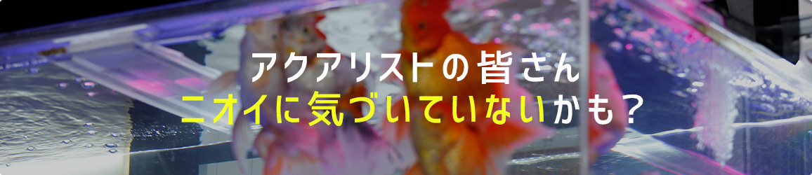 アクアリストの皆さん、ニオイに気づいていないかも？