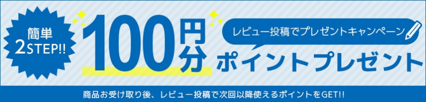 レビュー投稿ガイドラインページ