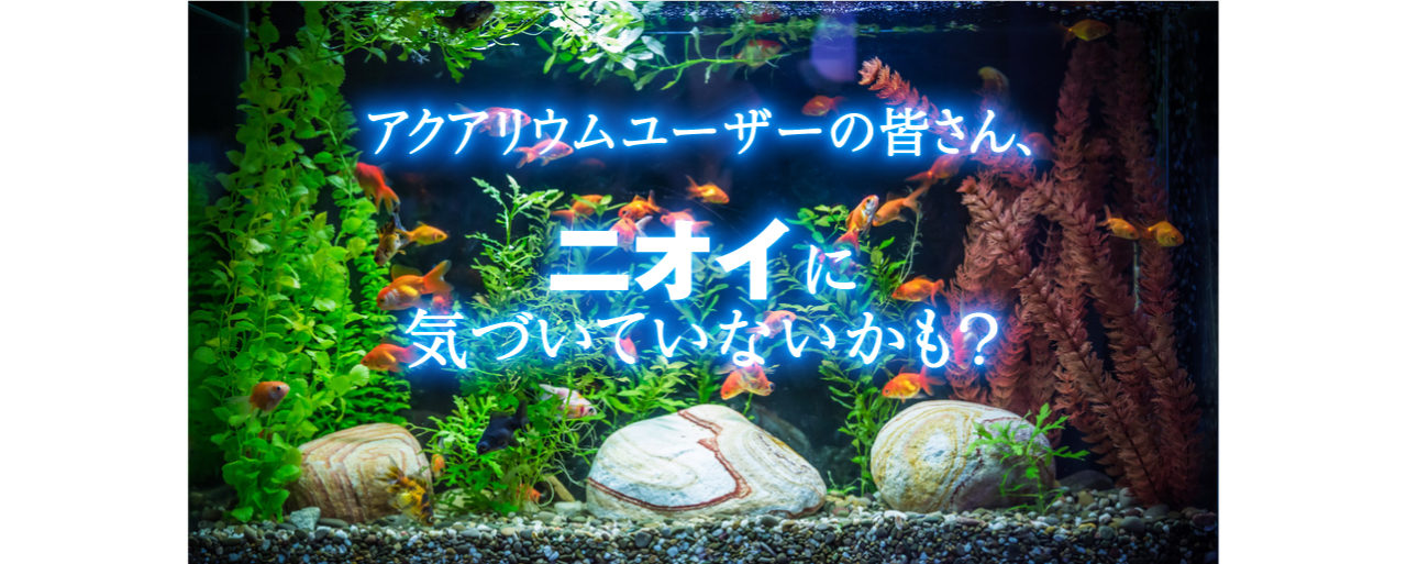 熱帯魚ユーザーの皆さん、ニオイに気づいていないかも?