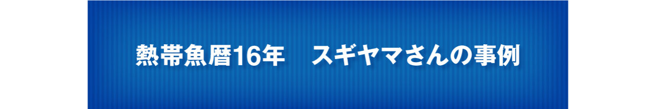熱帯魚16年のスギヤマサンの事例
