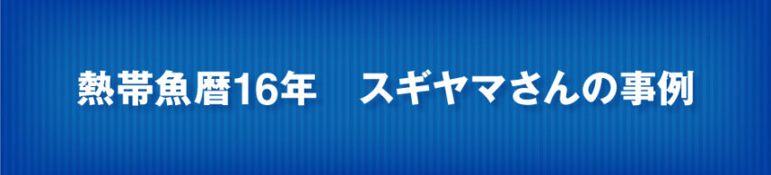 熱帯魚16年のスギヤマサンの事例