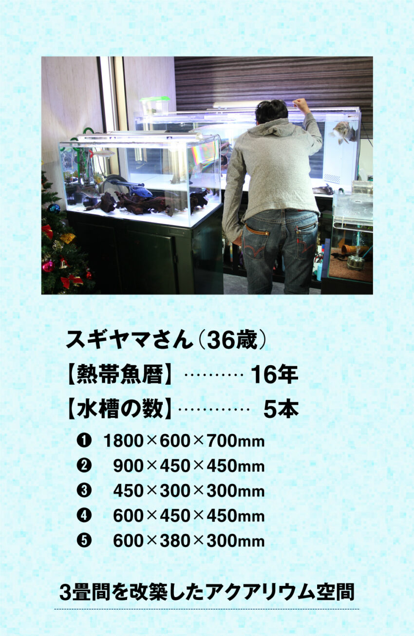 ユーザー情報、スペック