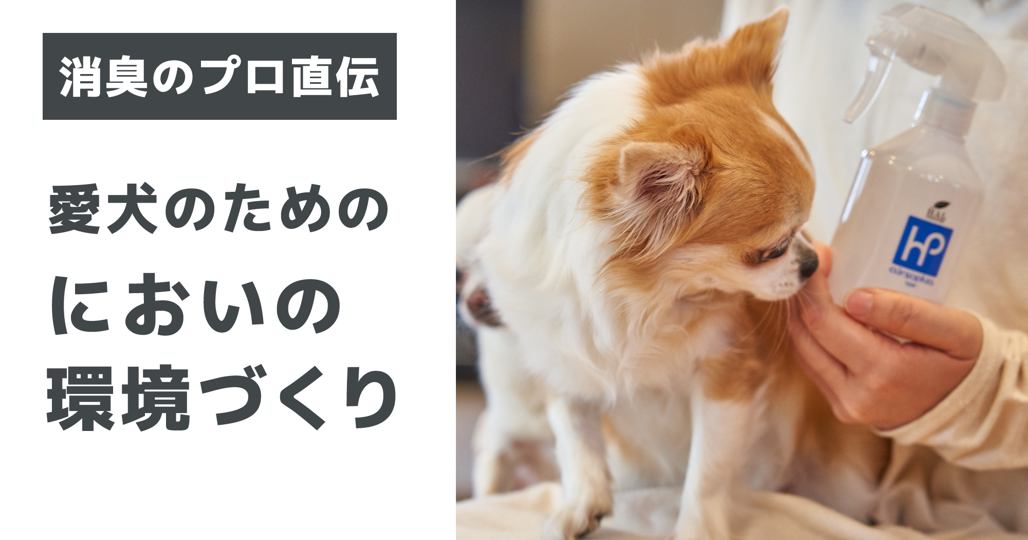 愛犬のニオイ対策アイキャッチ