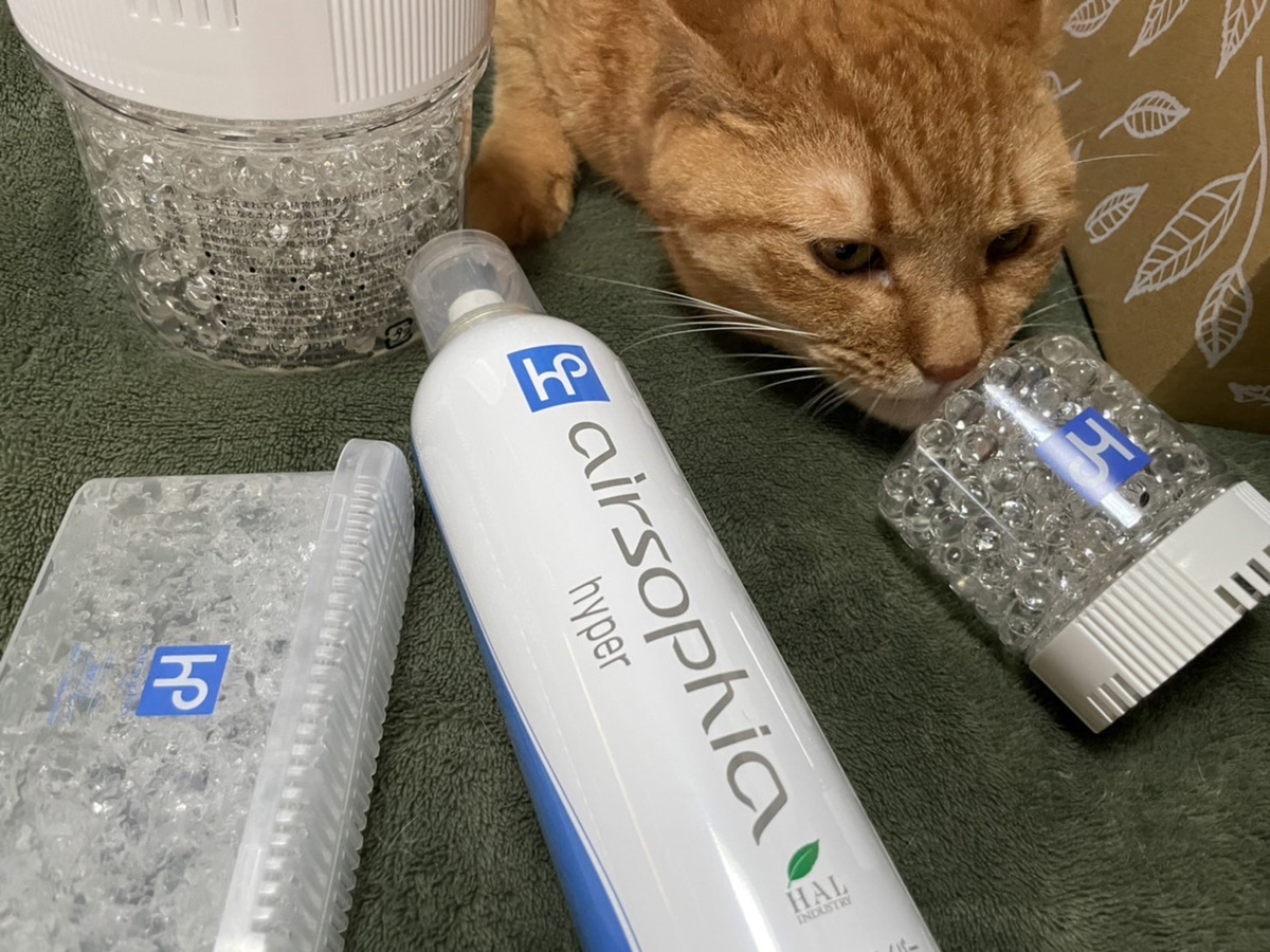 猫　消臭剤