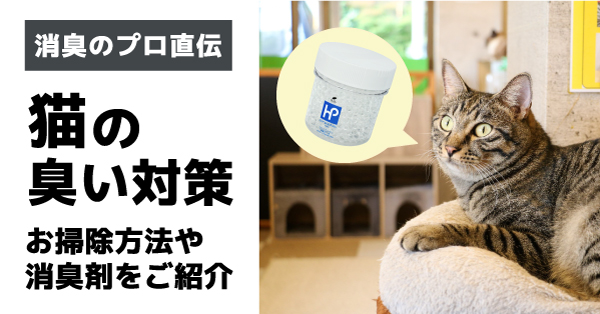 猫　ニオイ対策アイキャッチ