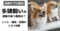HAL・SHOWER