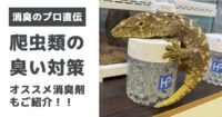 HAL・SHOWER