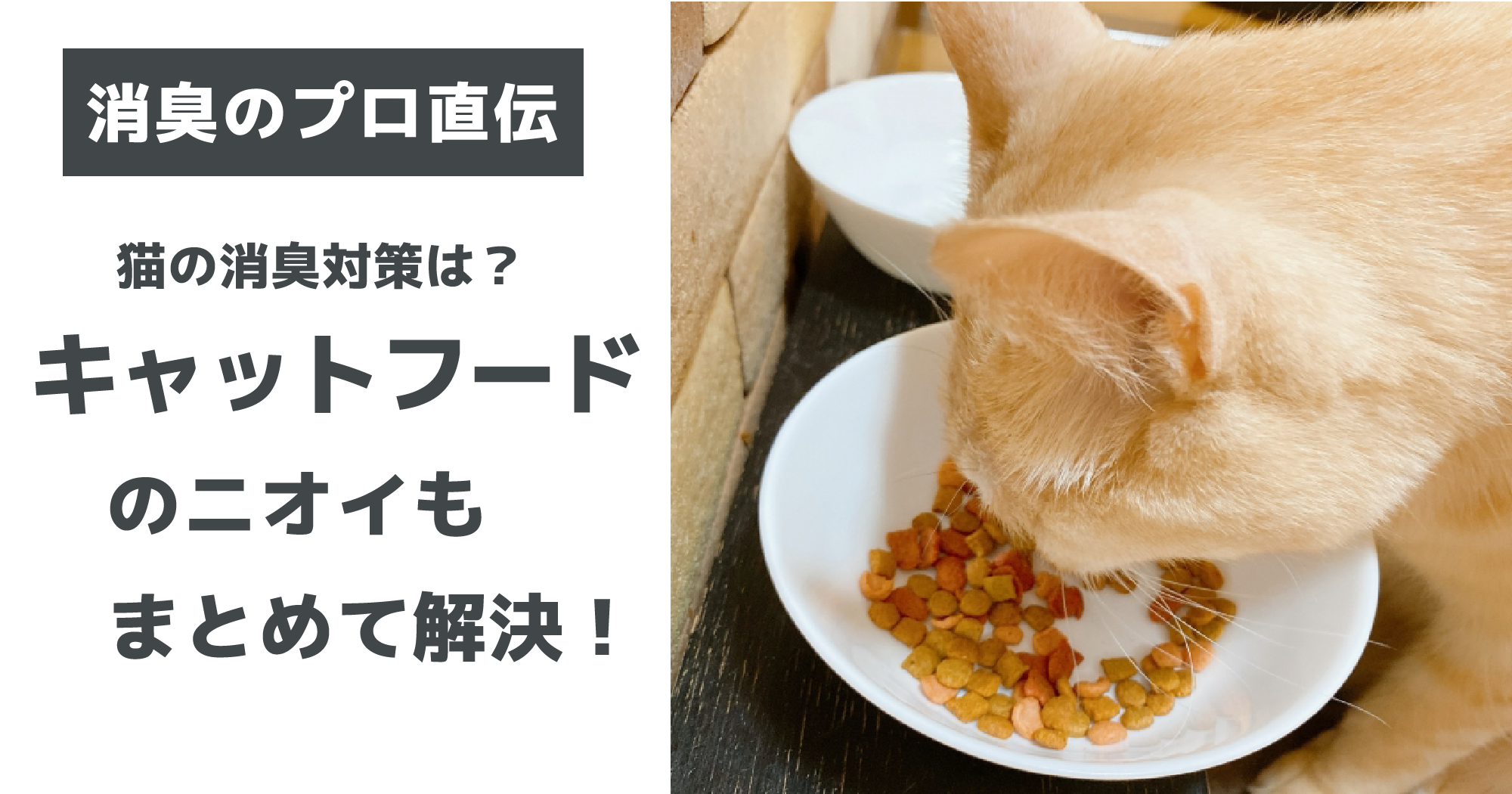 キャットフード　消臭剤　アイキャッチ