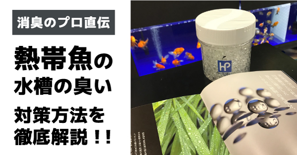 熱帯魚ニオイ対策　消臭剤アイキャッチ