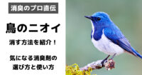 HAL・SHOWER