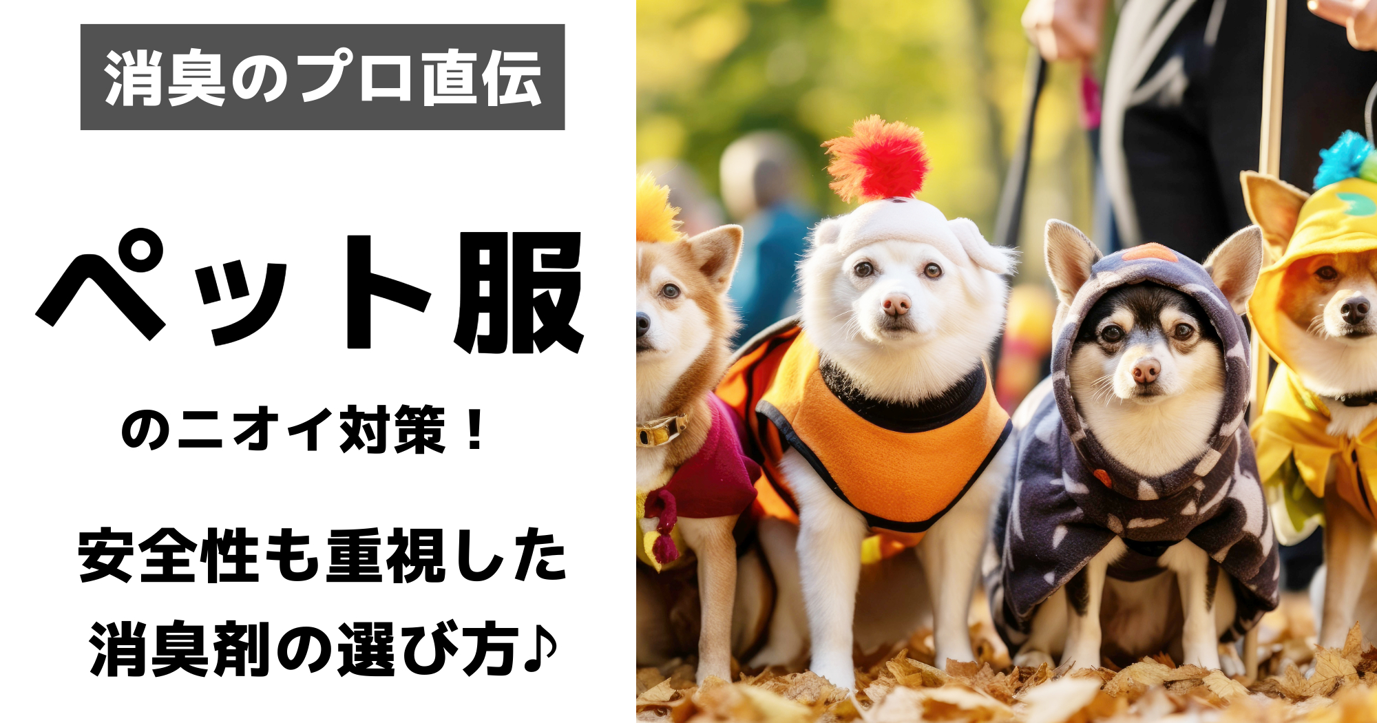 ペット服ニオイ対策アイキャッチ