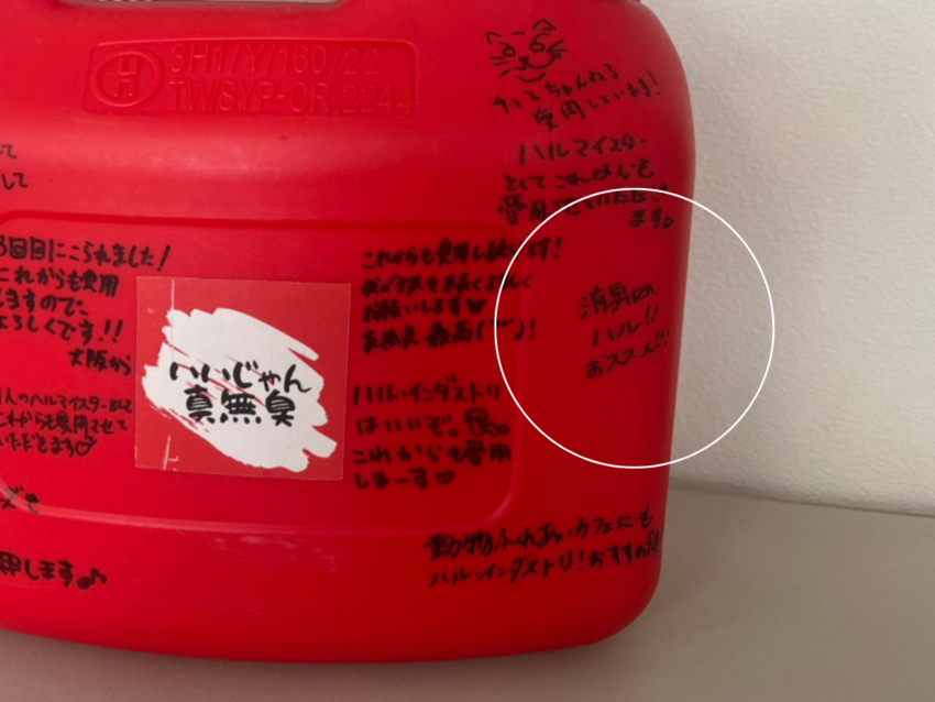 peanutsclub取材素材1