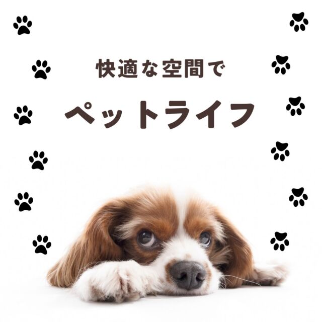 人間の鼻は、いつも嗅いでいるニオイに慣れてしまうことがあります・・
相手の家のニオイは感じるのに、自分の家のニオイは感じません。
そこで、自分の嗅覚だけでなく知識に基づいてニオイやすい場所、対象法を知っておきましょう🏡🌸

🚪玄関のニオイ対策
毎日玄関ドアを開けて空気の入れ替えをするようにしましょう。
また玄関の床の掃除機をかけることで、犬の毛や埃を取り除くことで雑菌の繁殖を防ぐことができます。

消臭剤を置く🍃
香りのついていない消臭剤を置くのがオススメ✨
香りが強い芳香剤はペットの嗅覚に影響してしまう危険性があるため使用しないほうが望ましいです。

🏠リビングのニオイ対策
ペットスペースをタイルや専用シートにすると液体汚れも染み込むことなく、ニオイの原因をもとから断つことができます。

犬がおしっこを踏んだ足で歩くフローリングは、水拭き又はクエン酸水を使って水拭きをするのがオススメ！

クエン酸水はアルカリ性のおしっこを酸性で中和し消臭効果があります。
クエン酸スプレーの作り方：水200mlにクエン酸小さじ1杯を目安に、スプレーボトルに入れて混ぜることで完成。

🐾犬が使うおもちゃなどを洗濯
ペットが使っているタオルや毛布、クッション、洋服、おもちゃなどには唾液、皮脂、垢が付着し、雑菌が繁殖して臭うために定期的に洗濯することが必要です。
更に天日干しで菌の繁殖を抑えることも効果的。

消臭スプレー💦
家についた犬のニオイには消臭スプレーが有効です。
消臭スプレーを使う場合はペットが触れても安心・安全な商品を選ぶことが大切です。

ペットと快適空間を作るために、ぜひ参考にしてくださいね♪🐶

＝＝＝＝ ハルマイスター募集 ＝＝＝＝＝
1️⃣ハルマイスターとは
「#ハルマイスター」のハッシュタグを付けて、ハル消臭剤の効果を引き出す使い方をみなさんにご共有いただく企画です。
しっかり消臭できている環境の『対象臭気・利用場所・使用消臭剤』をわかりやすく投稿していただくことで、確認後にハルマイスター認定証を進呈します！

2️⃣ ハルマイスター認定特典
認定特典として、ハル・インダストリ 公式オンラインショップのご利用が『ずっと5%OFF』になります♪

▶商品詳細は画像の商品タグをタップ👆🏻
またはプロフィール記載のURLからどうぞ。
▶ @halindustry

詳しく調べたい方は［ハルタイムズ］でチェック！👀🔍

#犬がいる暮らし #猫がいる暮らし #ペット臭対策 #ニオイ対策 #ハルの消臭剤 #ハルインダストリ #ハルマイスター