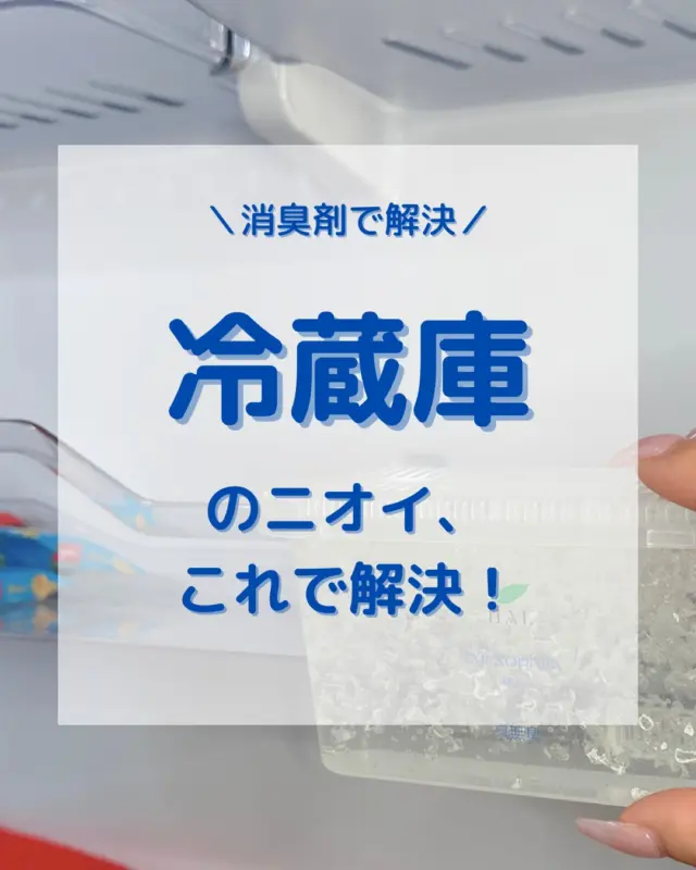 冷蔵庫のニオイ、これで解決！

冷蔵庫は食材のニオイが籠りやすく、気づいた時に「ん？臭うな…」と感じることもありますよね。ニオイ移りも心配な冷蔵庫の中をスッキリさせたい方必見！🤔

そんな時は【消臭ゲル】がおすすめです！

消臭ゲルのポイント：
🔹置くだけでOK！
🔹 低温でも安定した消臭効果
🔹 100%植物由来の消臭成分

注意点：冷凍庫では消臭ゲルが凍ってしまうため、使用は適していません。冷凍庫のニオイ対策には電解水での拭き掃除がオススメです◎

手間なく簡単に消臭できるので、冷蔵庫のニオイが気になる方はぜひ試してみてくださいね♪

———————
商品詳細はプロフィールリンクからご確認ください🛒𓈒𓂂𓏸
DM・コメントでのお問い合わせもお気軽にどうぞ😊
———————

#ハルの消臭剤 #冷蔵庫 #暮らしの道具 #ニオイ対策 #消臭剤